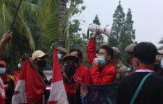 IMG 20240625 WA0053